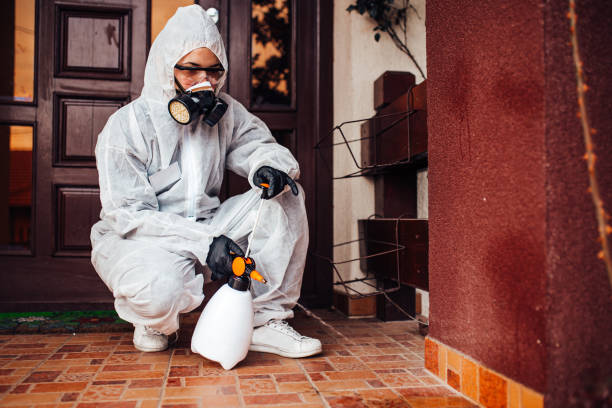 Reliable Wasp Removal contractor in Sawgrass, FL by Show Me Pest Control